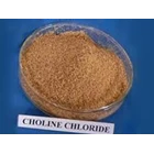 Kimia Farmasi Choline Chloride 1